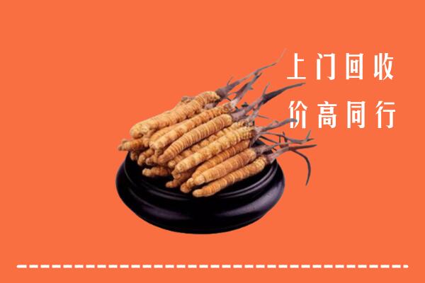 高价求购：永和县回收散虫草