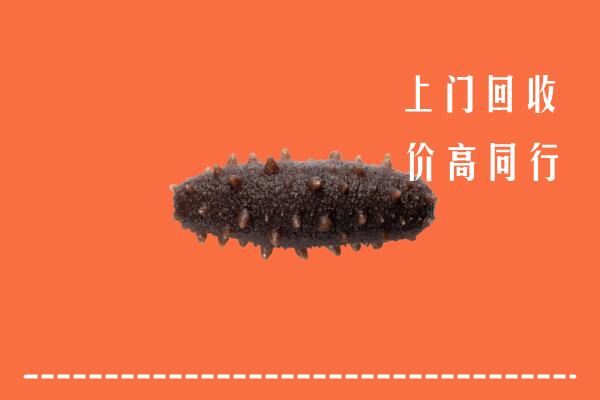永和县回收海参