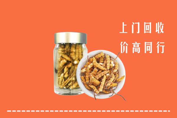 永和县回收冬虫夏草